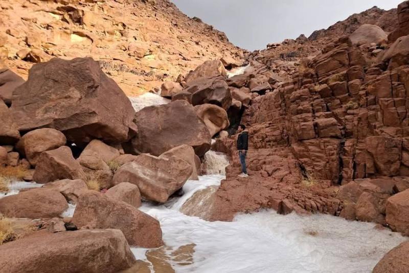 الجارديان المصرية